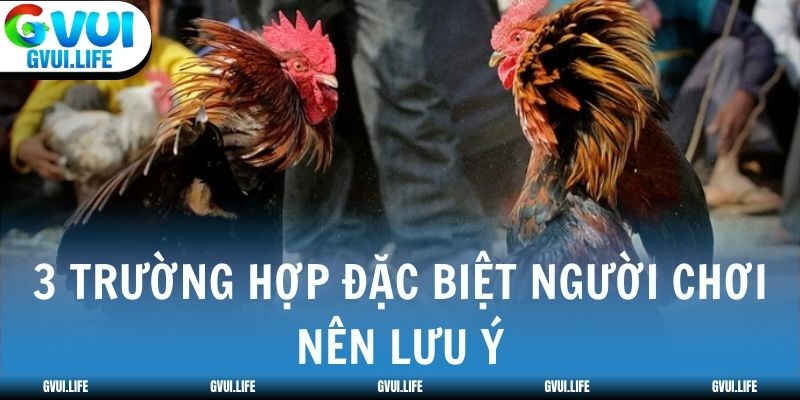 3 trường hợp đặc biệt người chơi nên lưu ý
