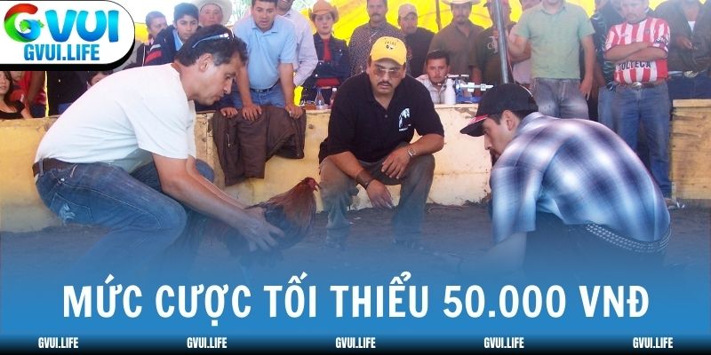 AOG áp dụng mức cược tối thiểu 50.000 VNĐ