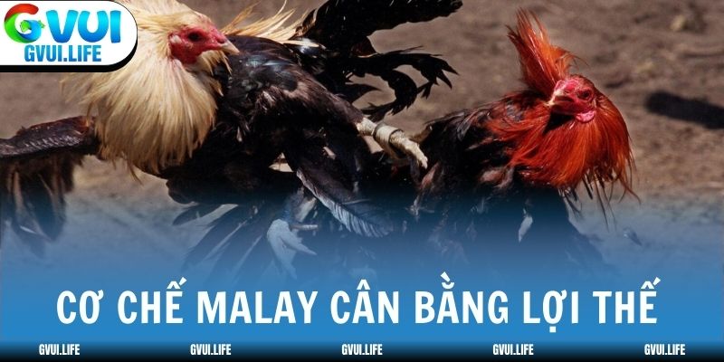 Cơ chế Malay cân bằng lợi thế giữa hai bên 