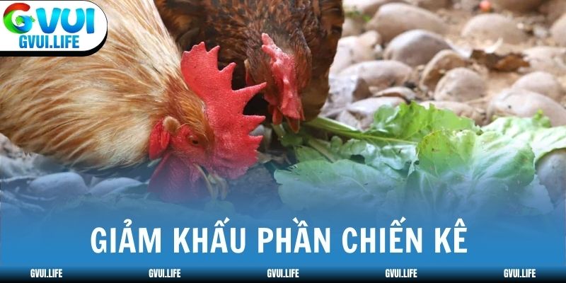 Giảm khẩu phần chiến kê còn 30-40% trong 24 giờ đầu