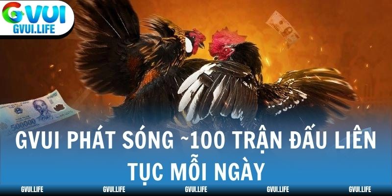 GVUI phát sóng ~100 trận đấu liên tục mỗi ngày