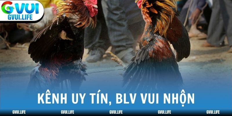Đội ngũ phát sóng đa ngôn ngữ cho người chơi quốc tế