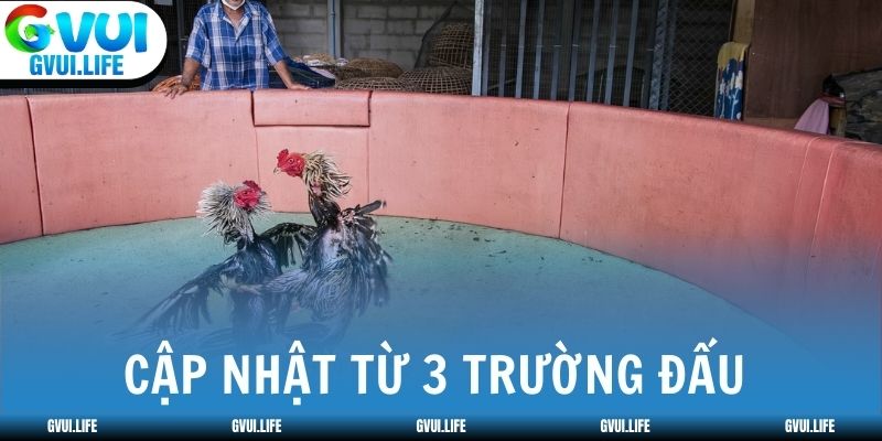 Kết quả được cập nhật từ 3 trường đấu lớn nhất Campuchia