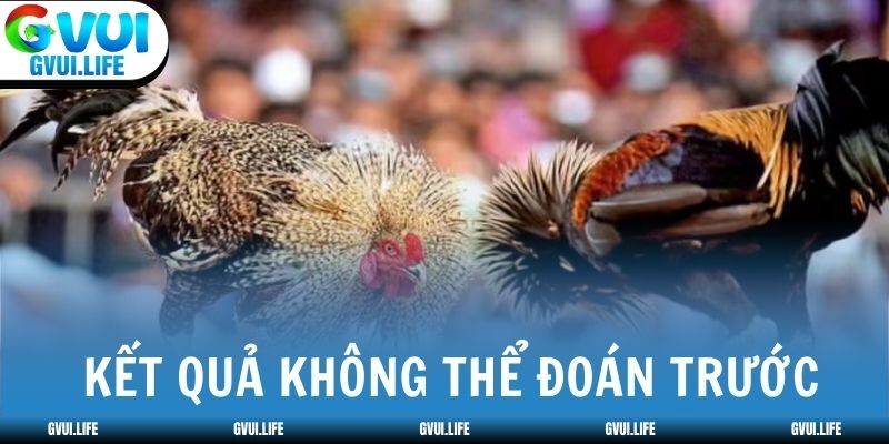 Trận đấu hấp dẫn sở hữu kết quả không thể đoán trước