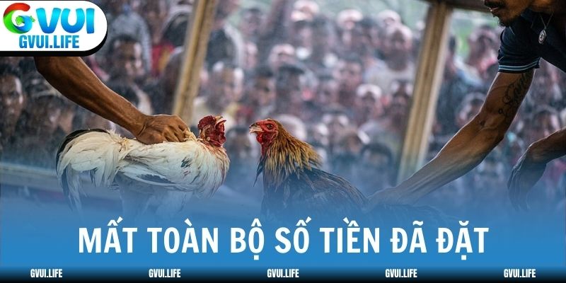 Khi thua Meron người chơi mất toàn bộ số tiền đã đặt