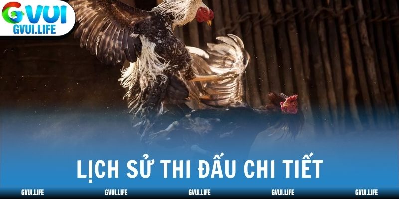 Lịch sử thi đấu chi tiết, tra cứu mọi lúc dễ dàng