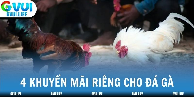 Nhà cái áp dụng 4 khuyến mãi riêng cho đá gà trực tuyến