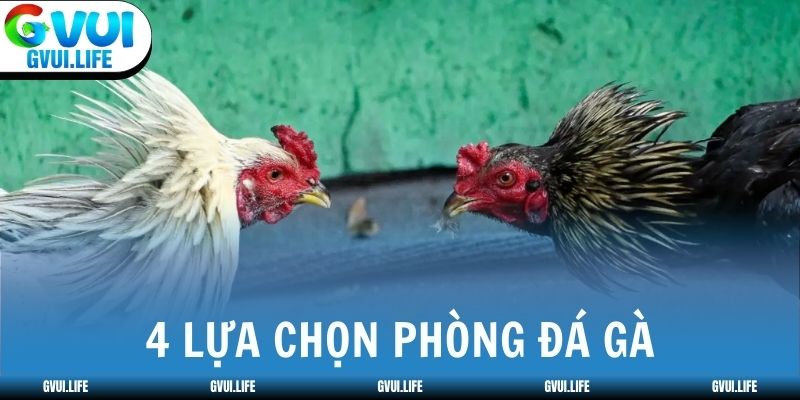 Nhà cái có 4 lựa chọn phòng đá gà cho người chơi
