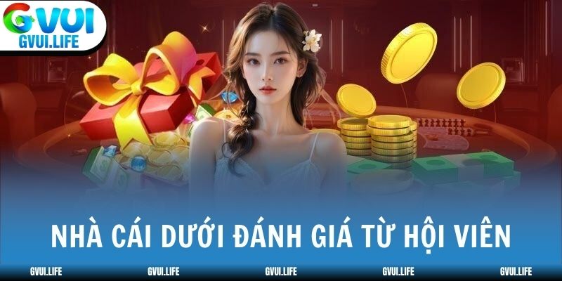 Nhà cái dưới đánh giá từ hội viên