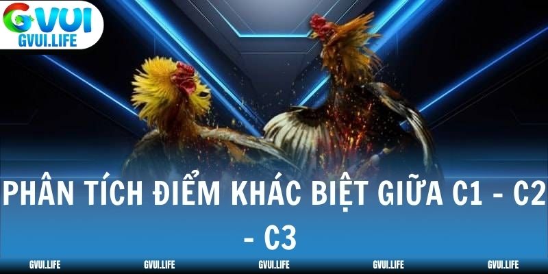 Phân tích điểm khác biệt giữa đá gà C1 C2 C3