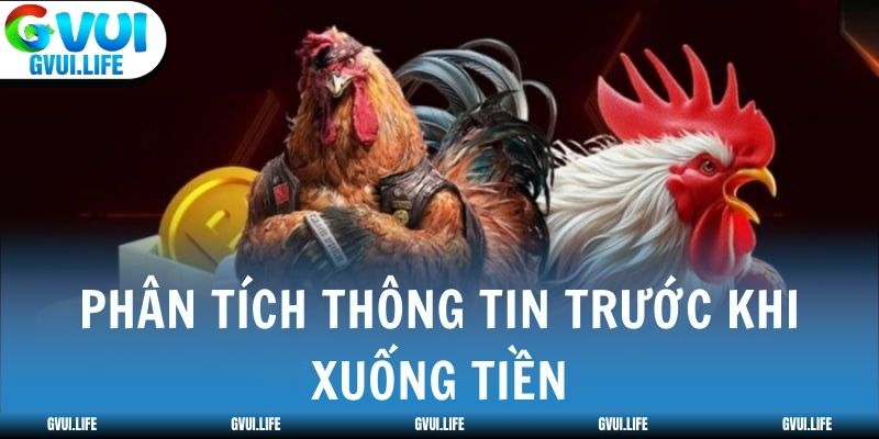 Phân tích thông tin trước khi xuống tiền
