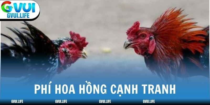 Phí hoa hồng nhà cái cạnh tranh chỉ từ 5.5-7%