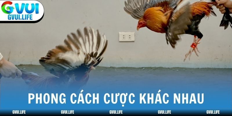 Mỗi sảnh đá gà phù hợp với phong cách cược khác nhau