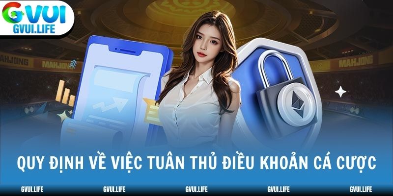 Quy định về việc tuân thủ điều khoản cá cược