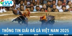 Nhà cái phát sóng trực tiếp các giải đá gà Việt Nam 2025