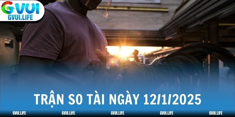Trận so tài ngày 12/1/2025 giữa 2 chiến kê xuất sắc